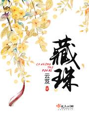 藏玉纳珠 阅读