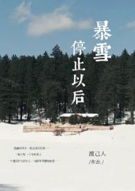 暴雪停止以后by渡己人