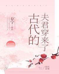 古代的夫君穿来了讲的什么