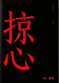 掠心by盈春笔趣阁