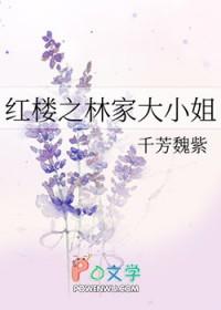 红楼之林家小弟 晋江