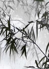 听茶茶馆(华侨城综合市场店)怎么样