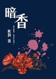 暗香全文阅读免费