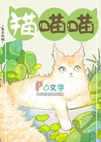 捡到流浪猫怎么处置