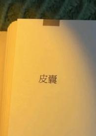 皮囊出轨内容
