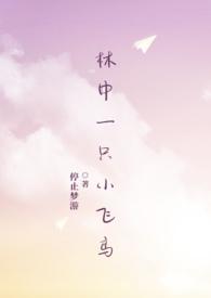 林中一只小飞鸟by停止梦游po免费阅读