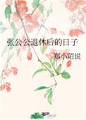 张公公退休后的日子 简介