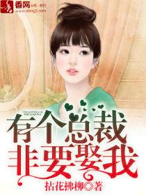 有个总载非要娶我