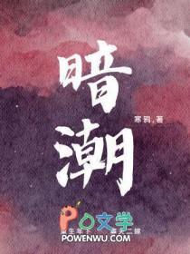 暗潮缉凶电视剧