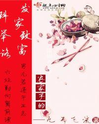 农家子的发家致富科举路书评