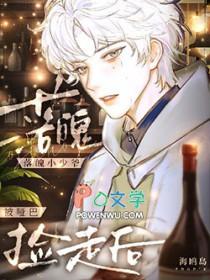 落魄小少爷被哑巴捡走后作者海鸥岛