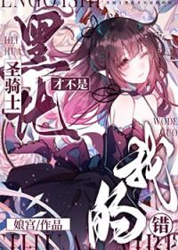 黑化的圣骑士穿书