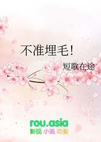 不准埋毛全文免费阅读