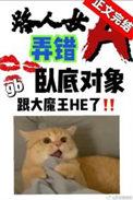 路人女a弄错卧底对象了 苟戈里 晋江