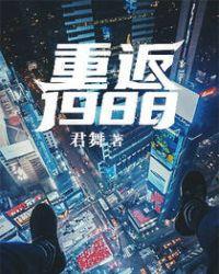 重返1988讲什么
