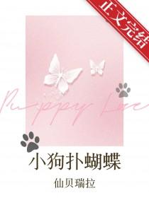 小狗抓蝴蝶的动作
