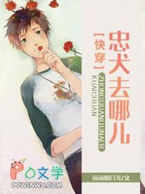 忠犬都去哪儿了