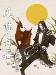 风临异世扫书