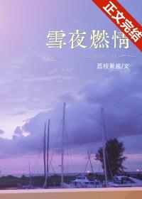 雪夜燃情免费看
