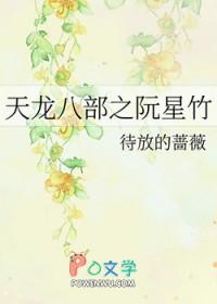 新天龙八部 阮星竹