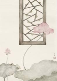 愿我如星君如月全文阅读