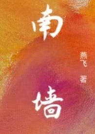 南墙np燕飞免费阅读