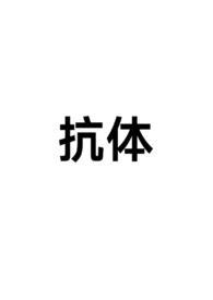 npm1抗体
