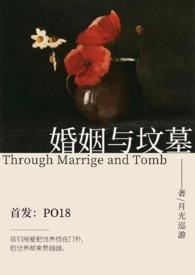 Hp婚姻与坟墓TXT