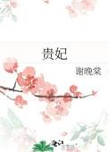 贵妃和太子妃哪个地位高