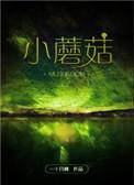 小蘑菇主角