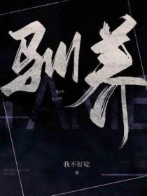 驯养篮球