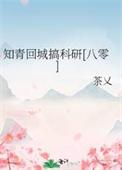知青回城政策