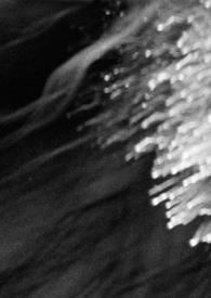 夜宠骄阳短剧