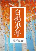 白杨少年全文免费阅读最新章节