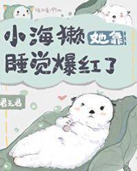 小海獭她靠睡觉走红