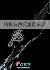 错撩偏执男主后我甩不掉了txt