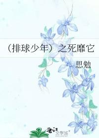 排球少年之死靡它番外