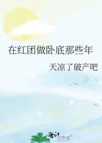 海贼主角加入红发海贼团