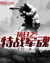 抗日之特战兵魂全文免费阅读