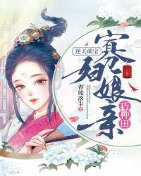 寡妇再嫁穿越