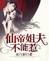 仙帝姐夫不能惹TXT免费