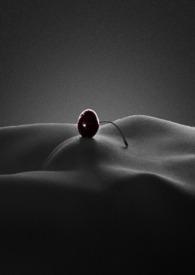 顶风作案by蒙面咸鱼TXT