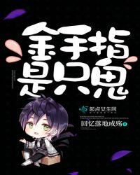 金手指全图