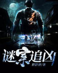 谜案追凶剧情