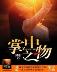 掌中之物讲了个什么故事