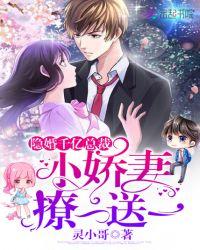 隐婚总裁甜宠妻