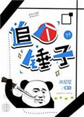 我追你个锤子