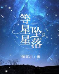 星星坠落风在吹动