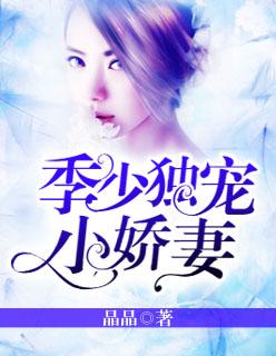 宠妻宠成瘾季少小娇妻