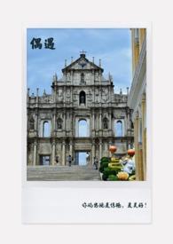 偶遇电影完整免费观看高清